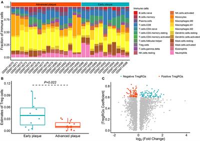 Regulatory T Cell-Related Gene Biomarkers in the Deterioration of Atherosclerosis